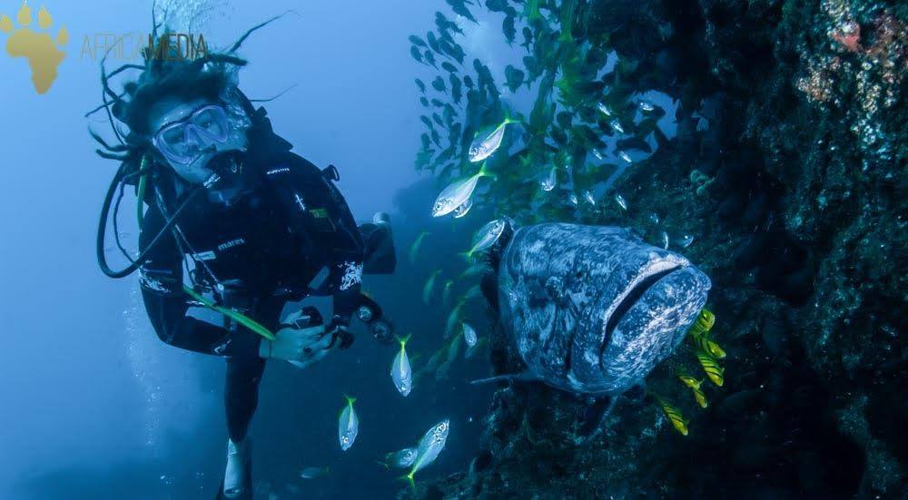 How to an underwater videographer Africa Media