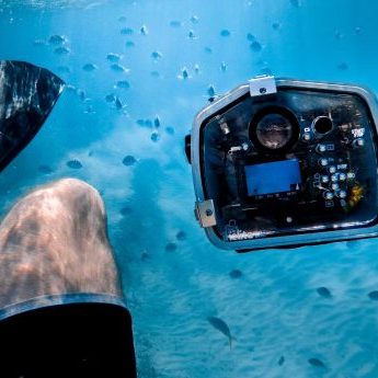 underwater-photography-camera-settings-1-450x345