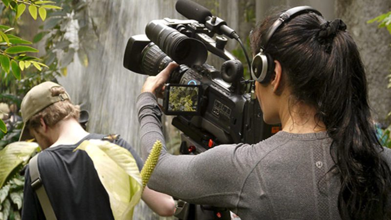 African Wildlife Filmmaking Training Internship Program10