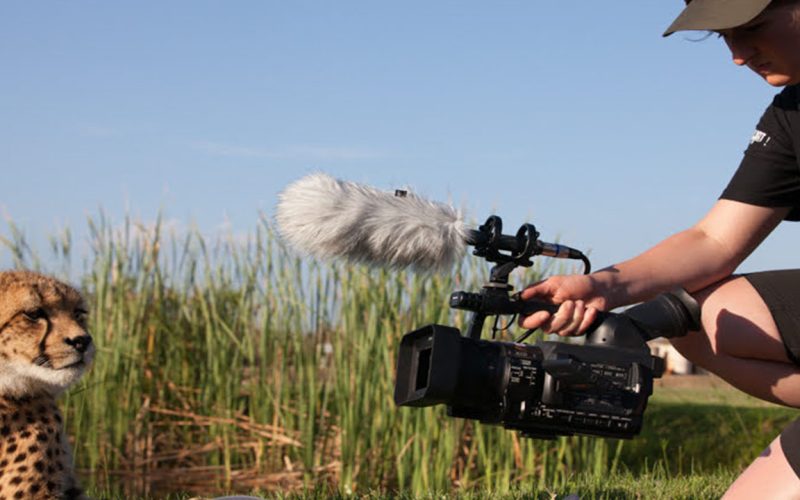 African Wildlife Filmmaking Training Internship Program4