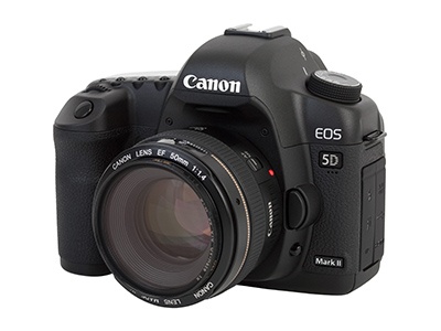 Wildlife Filmaking and photography equipment canon 5D