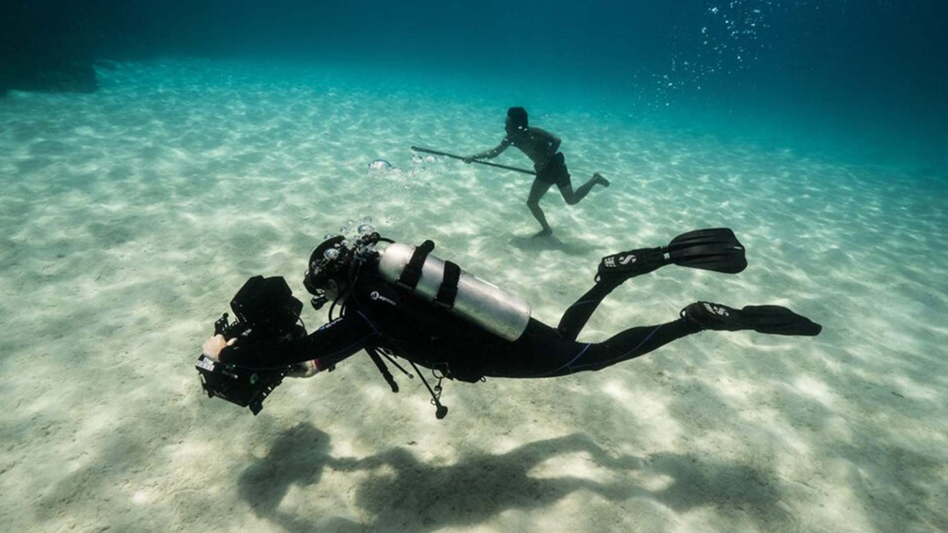 Find an Underwater Photographer or Videographer for Underwater