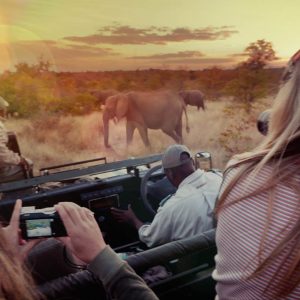 Wildlife & Travel Photojournalism