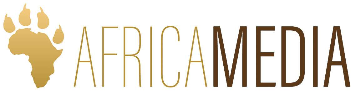 Africa Media Logo