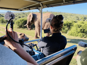Filming an elephant for a wildlife filmmaking course