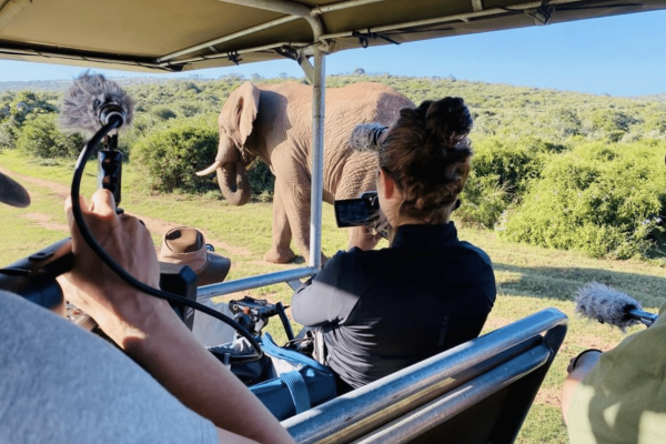 Filming an elephant for a wildlife filmmaking course