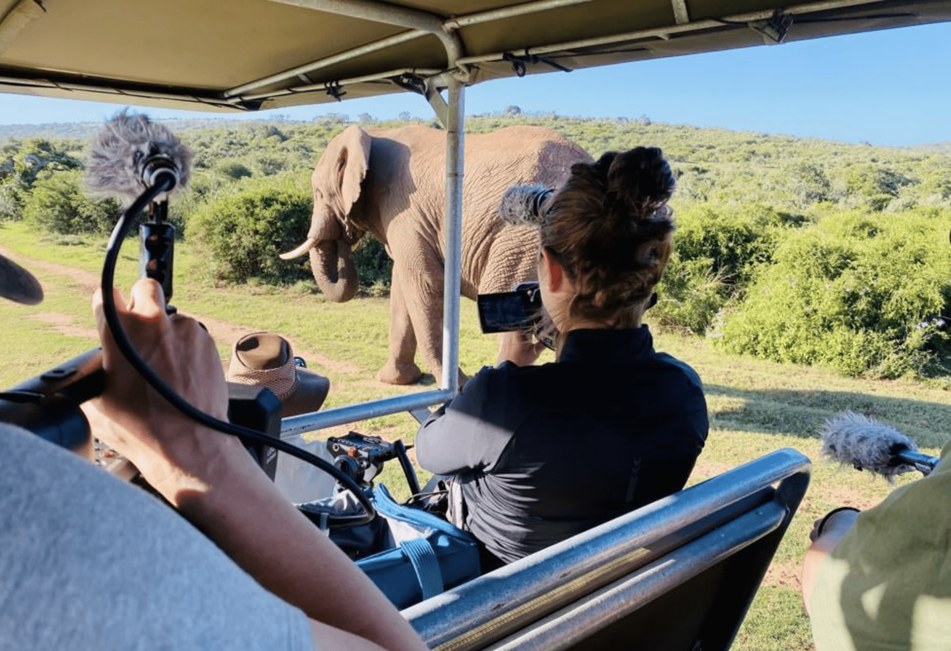 Filming an elephant for a wildlife filmmaking course