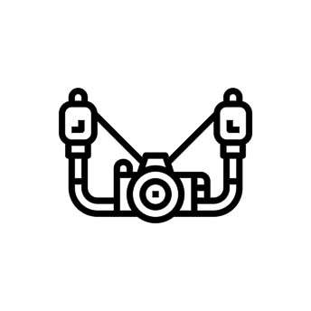 Wildlife Photography & Filmmaking Courses Underwater Videography