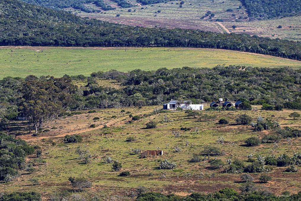 Bellevue Forest game reserve safari camp