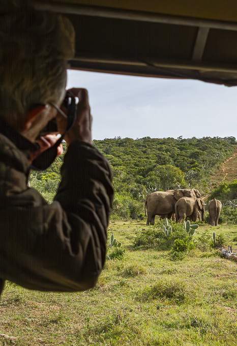 Wildlife photography course instructor photography elephants