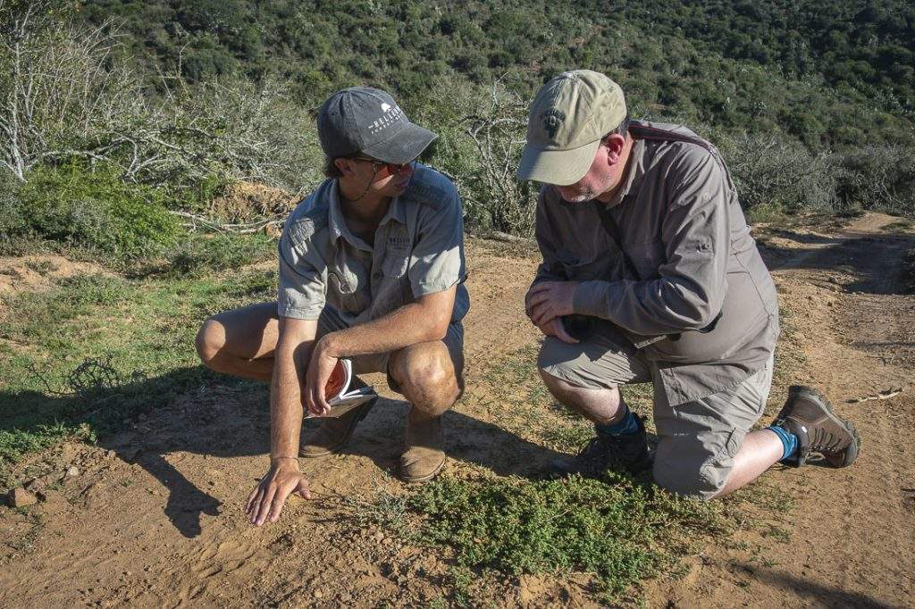 Student animal tracks